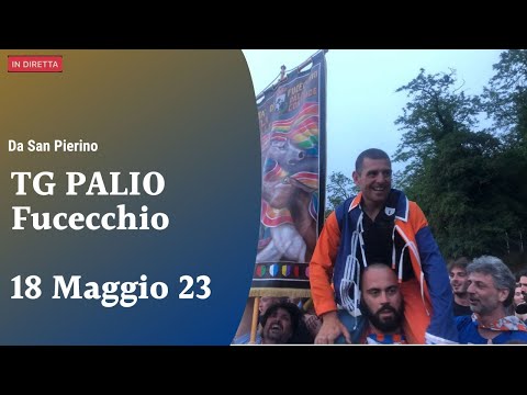 🔵 Palio di Fucecchio, Sotto Frusta - TG Palio: "da San Pierino"