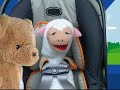 Lullaby Time Sleep Sleep Mr Sheep DVD Rip