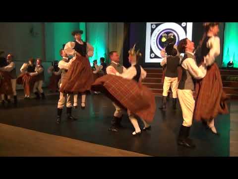 Deja auzās. TDA Zīle