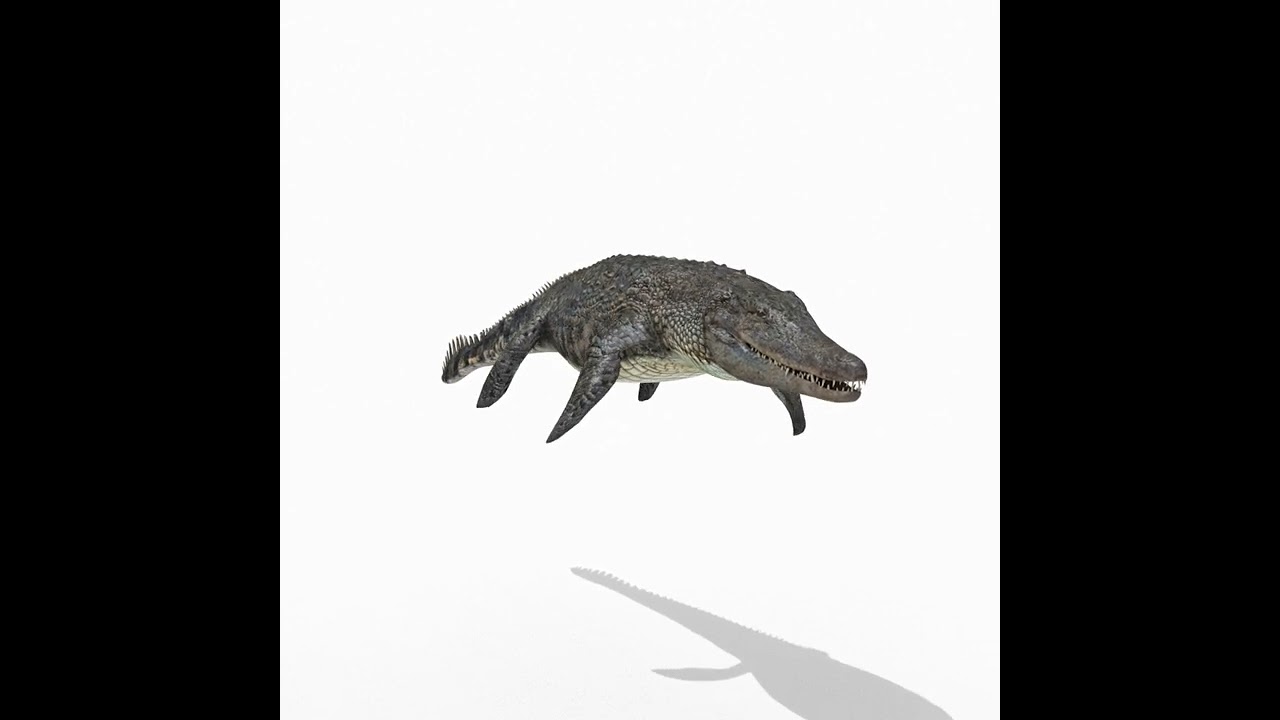 Mosassauro Rex - animado em 8K Modelo 3D