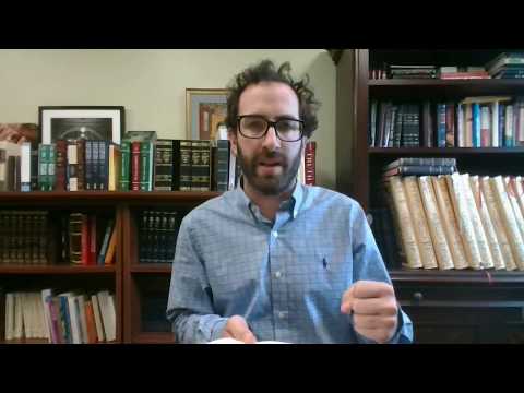 Netziv on the Parsha - Bamidbar