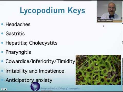 Lycopodium: Homeopathic Medicine -Tips For Beginners
