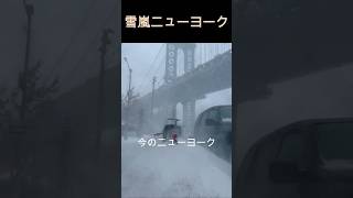 今のニューヨーク、リアルな冬の景色をお届けします。🍎 #NYC #雪