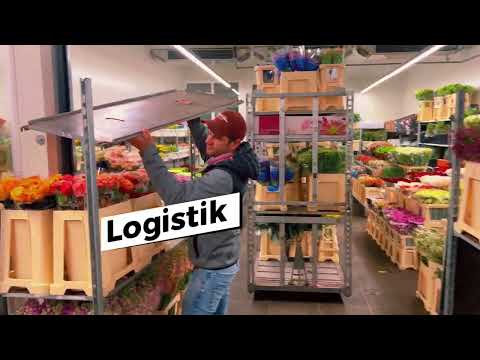 Arbeite auf dem Großmarkt!