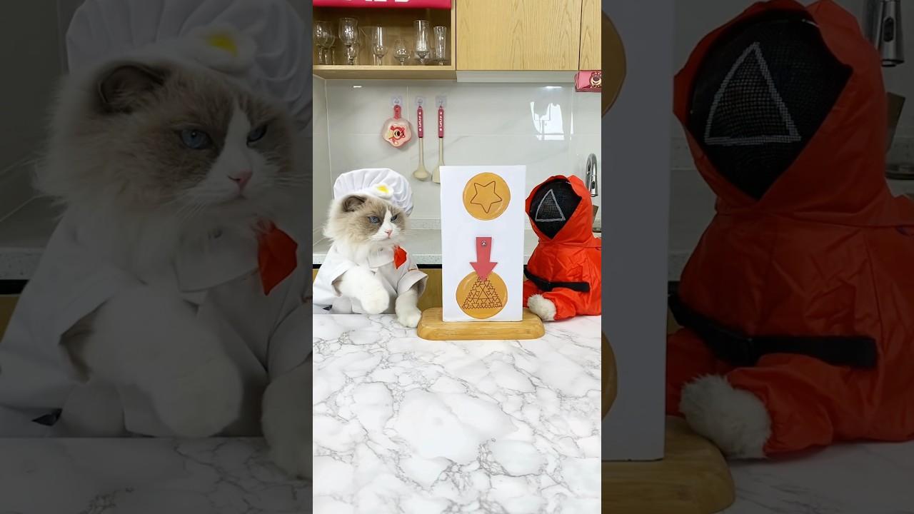 🦑🎮 Round two! Will he make it? #PuffSurvives #SquidGameSequel #thatlittlepuff #Mesucalife