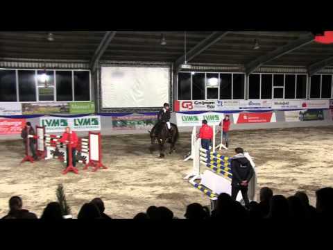 De Quidam, 5 j. H von Diarado x Quidams Rubin, 2016