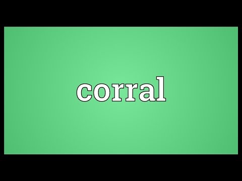 Corral Meaning