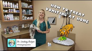 How To Treat Vomiting at Home? | Vomiting dog?