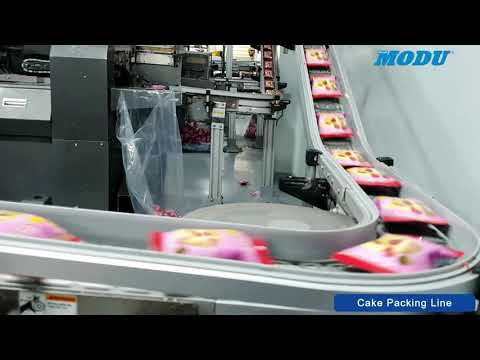 MODU Conveyor - Cake Packing Line