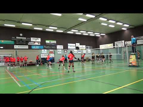 Morgana DVO D1 VS Seesing Flex | Longa'59 D2