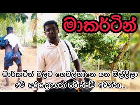 Marketing brother | මාර්කටින් මල්ලි.