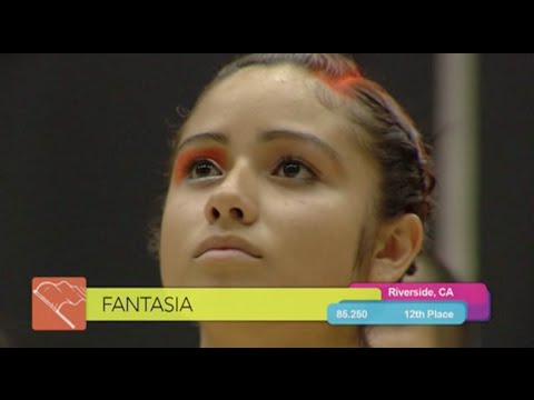 Fantasia Winter Guard 2013 - "A West Coast Story"