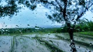 Oblivion Dust - In My Rainy Field