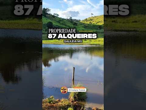 EXCELENTE PROPRIEDADE 87 ALQUEIRES GALILÉIA-MG R$ 14 MILHÕES #luxo #gado #pecuarista #fazenda #agro