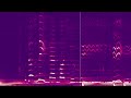 Daryl Hall John Oates Everytime You Go Away Audio Spectrum