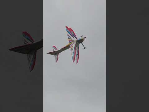 Sky Leaf Leader flown with STYLE #F3A #aerobatics #rcaircraft