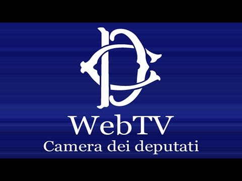 webtv.camera.it - Audizioni Iss e Inail su personale delle Forze Armate - (19-04-2017)