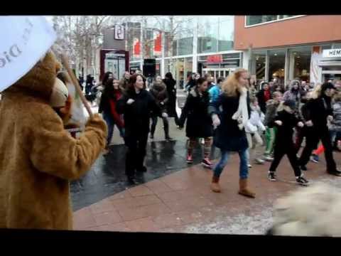 Flashmob Rijswijk Bogaard Alle Apen Vrij