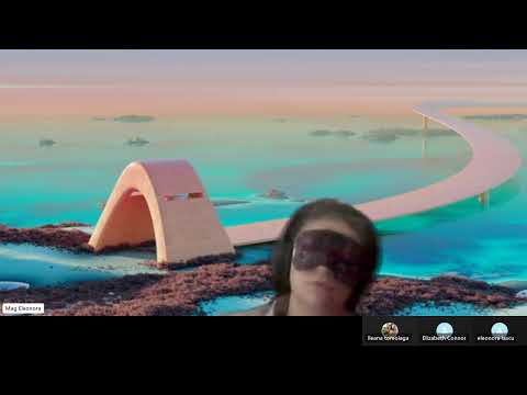 HIPNOZA REGRESIVA.RO-2055.Elizabeth,Contractul cu arhonul,sughitul. E LASCU coord si ELA tel.