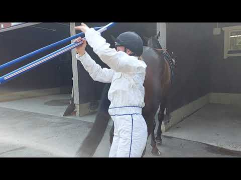 Hede Darling E.Pylvänäisen muistoajo St Michel 2021