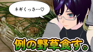 【料理】野草！ノビルたべるよ！【ネギ焼き】