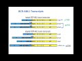 Molecular Profiling for Treatment Guidance of Hematologic Malignancies by Next Generation Sequencing