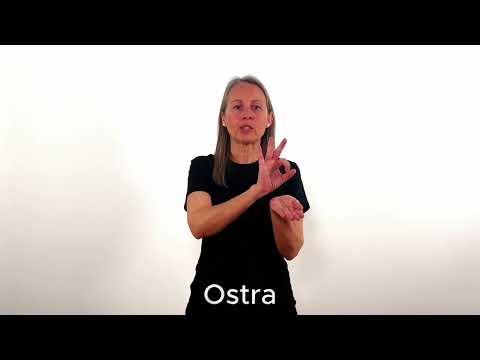 Ostra - LSC