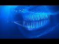 4K El Gran Maja Submarine Expedition