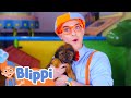 Blippi S Puppy Playdate Blippi S Stories And Adventures For Kids Moonbug Kids