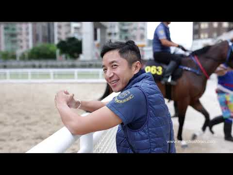 "Being a racehorse trainer" - part one