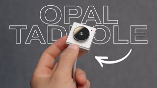 Opal Tadpole – Tiny-Sized Webcam for Work & Travel!