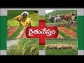Raithu Nestham Dt 01 12 2020