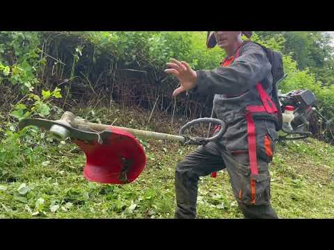 IDEAL BLADE AGAINST BROOM TREES