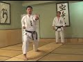 SKIF SHODAN KIHON