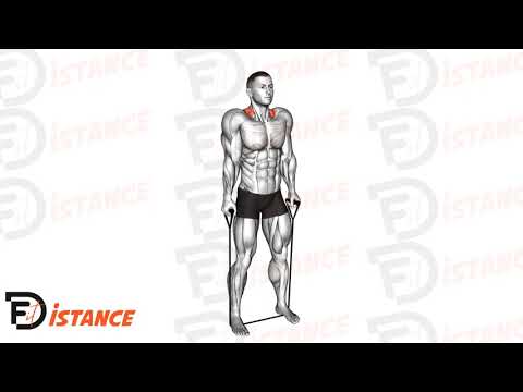 Exercice Shrugs aux élastiques