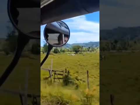 Parte 7# !Así fueron mis vacaciones En bahía solano chocó Colombia 🫢 #bahiasolano #vacaciones #mar