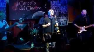 MERLI-MADDALONE-TRIGONA-CHELLINI