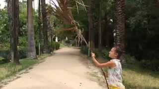 2 weeks in Portugal!