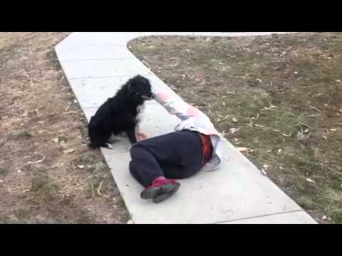 LuAnne gets licked by Cowboy the dog