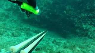 preview picture of video 'Man VS Eel spearfishing eel mougkri 8kg greece powerdive gr'