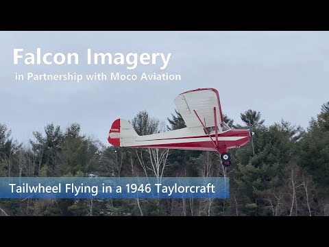 Tailwheel flying in a 1946 Taylorcraft BC-12D