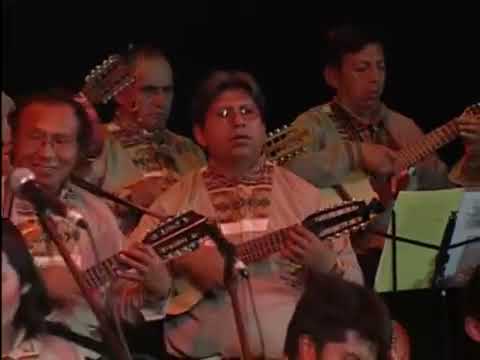 Orquesta de Charangos La Paz — Adorada Elenita