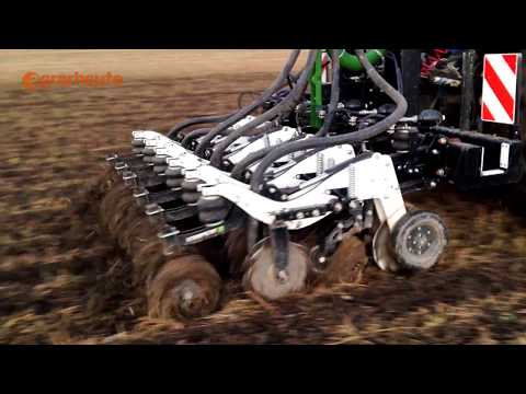 Rapsaussaat auf trockenen Standorten