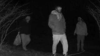 Most Disturbing Camping Encounters Caught on Camera