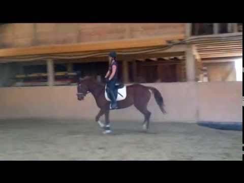 Wait until i get bigger