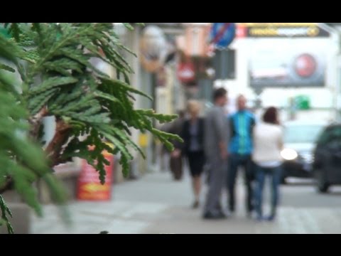 Imigranci z Syrii zagrożeniem dla Polaków? SONDA (FILM)