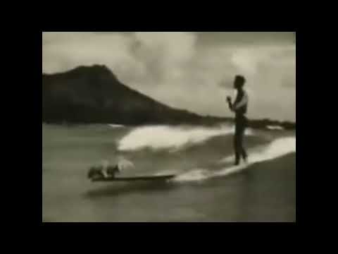 Fortuna Ehrenfeld - Ray of fukin' sunshine (Musikvideo)