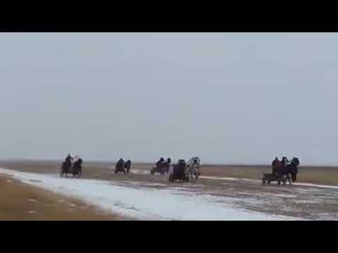 Bobotează Lanurile 2019💪💪