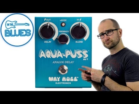 Aqua-Puss Analog Delay MkII Pedal - Way Huge Electronics