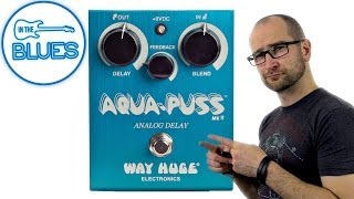 Aqua-Puss Analog Delay MkII Pedal - Way Huge Electronics